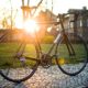 massgeschneiderte-stahlrahmen-rennrad big forest frameworks