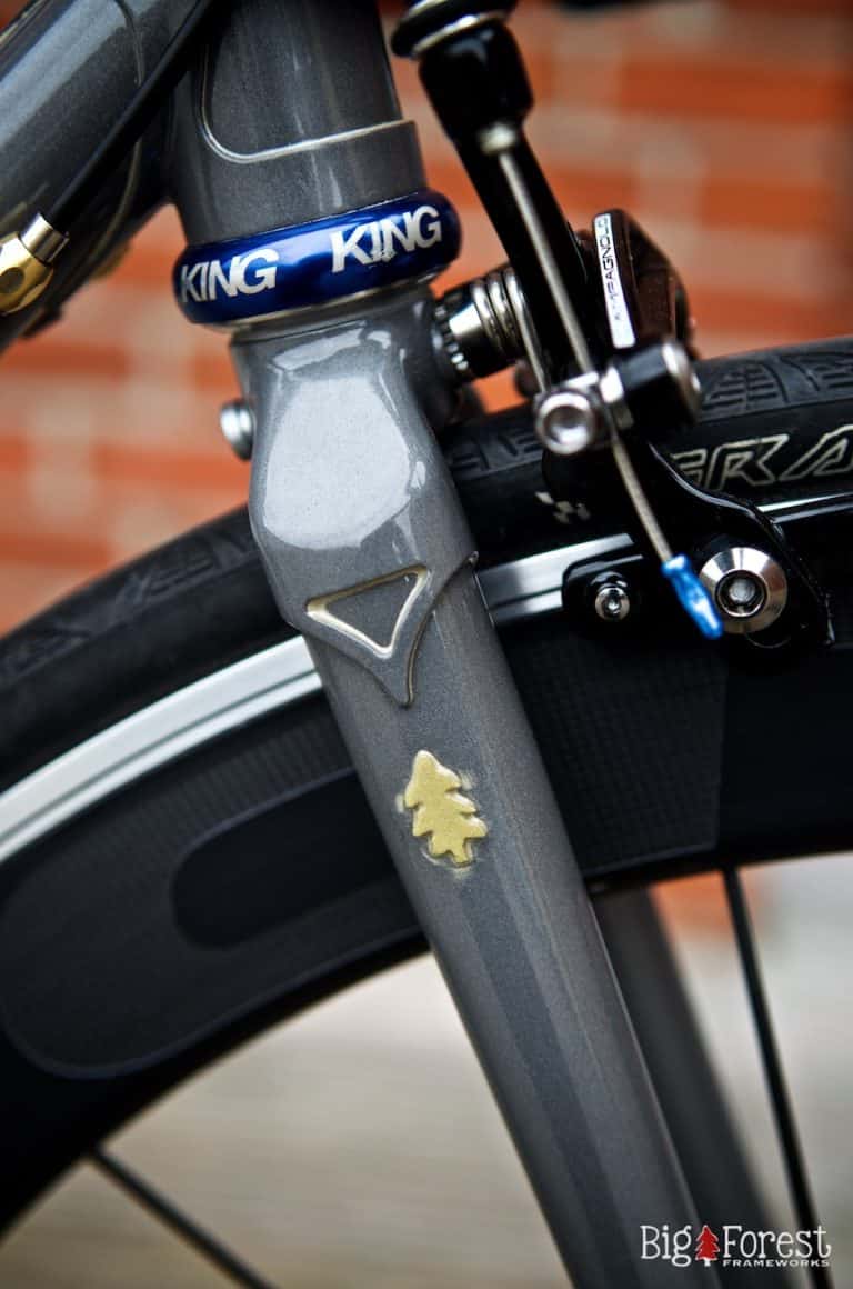 Blog Big Forest Frameworks